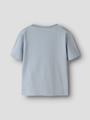 NMMDIGRO SS NREG TOP