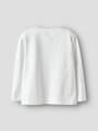 NMFLEOANJA LS NREG TOP