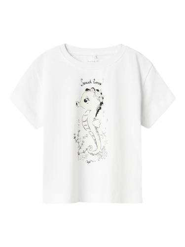 NMFZOSIGNE NREG SS TOP