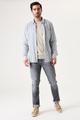 T41284 L - Stripe Blue
