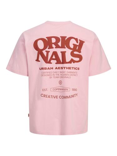 JORTAVIRA TYPE BACK TEE SS CREW OC25 JNR