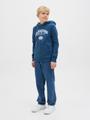 JJARI BRANDING SWEAT HOOD JNR