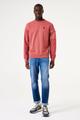 V41261 XXL - Safflower