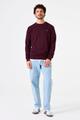 Z1194 XL - Dark Grape