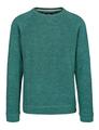 Rundhalspullover 100% organic Cotton XXL - Palm Green