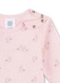 DP 080 - Sorbet