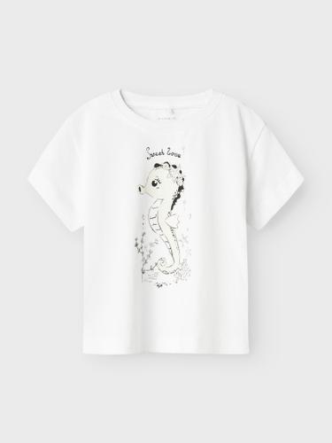 NMFZOSIGNE NREG SS TOP