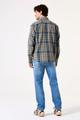 H51084 L - Vetiver