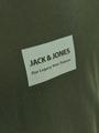 JJHAKKAI TEE SS CREW NECK JNR 176 Locker geschnitten - Kombu Green