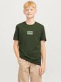 JJHAKKAI TEE SS CREW NECK JNR 176 Locker geschnitten - Kombu Green