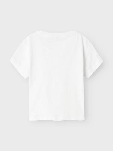 NMFZOSIGNE NREG SS TOP
