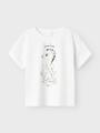 NMFZOSIGNE NREG SS TOP