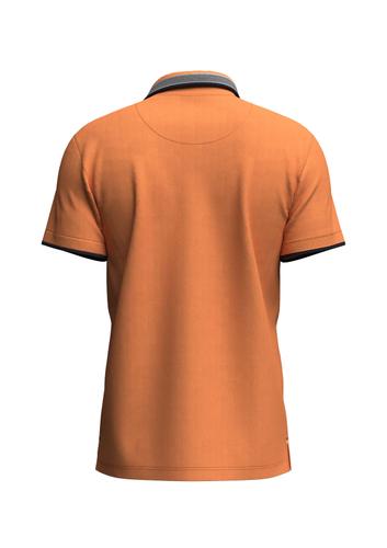 Polo, contrast tipping