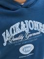 JJARI BRANDING SWEAT HOOD JNR