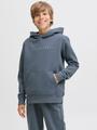 JJESTAR JJ SWEAT HOOD NOOS JNR 140 Locker geschnitten - Stormy Weather