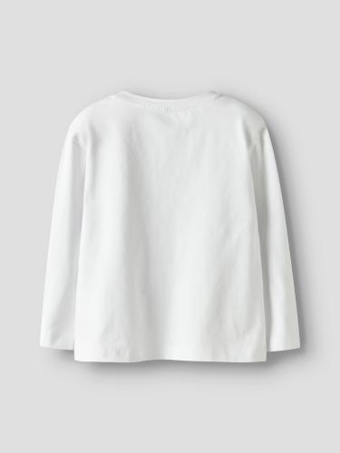 NMFLEOANJA LS NREG TOP