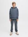 JJESTAR JJ SWEAT HOOD NOOS JNR 140 Locker geschnitten - Stormy Weather