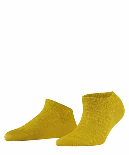Sneakersocken Focus Room