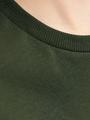 JJHAKKAI TEE SS CREW NECK JNR 176 Locker geschnitten - Kombu Green