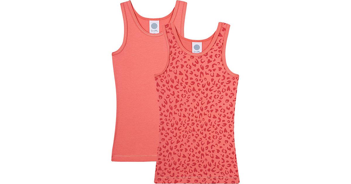 Doppelpack 104 - Rose Cream