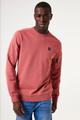 V41261 XXL - Safflower