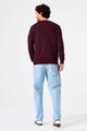 Z1194 XL - Dark Grape