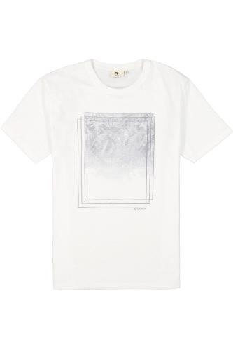 D31201 L - White