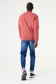 V41261 XXL - Safflower