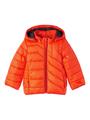 NMMMAXON JACKET PB