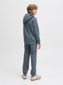 JJESTAR JJ SWEAT HOOD NOOS JNR 140 Locker geschnitten - Stormy Weather