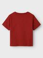 NMMFABI NREG SS TOP