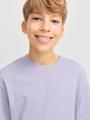 JJESTAR JJ TEE SS NOOS JNR 152 Locker geschnitten - Languid Lavender
