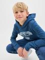 JJARI BRANDING SWEAT HOOD JNR
