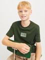 JJHAKKAI TEE SS CREW NECK JNR 176 Locker geschnitten - Kombu Green