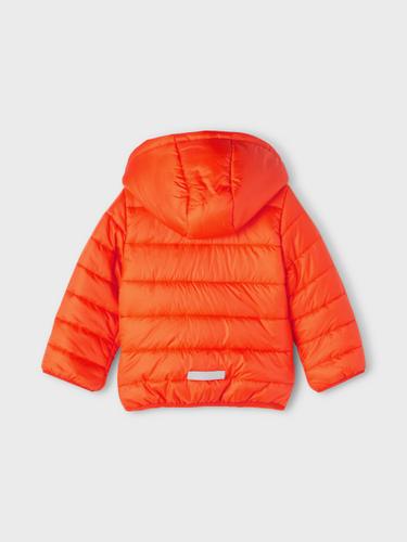 NMMMAXON JACKET PB